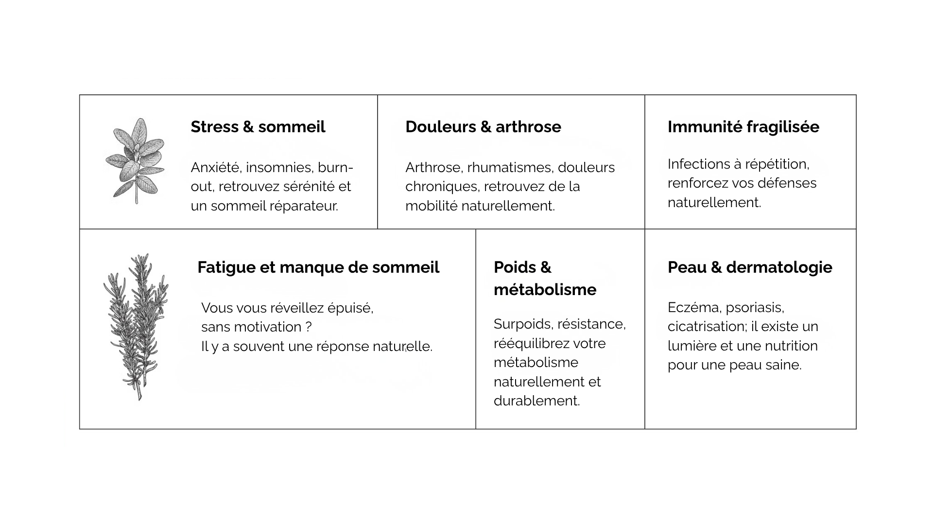 Situations accompagnées : stress, sommeil, douleurs, arthrose, immunité, fatigue, poids, métabolisme, peau et dermatologie